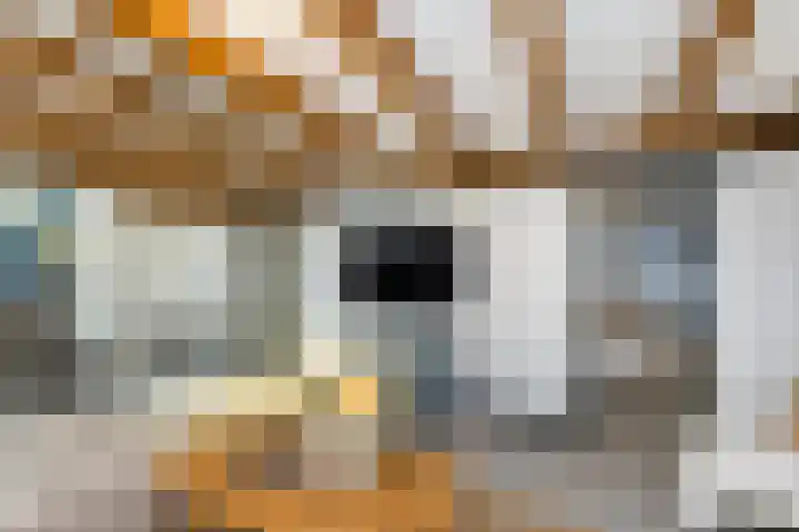 Bergselaan 141 A Rotterdam thumbnail 32