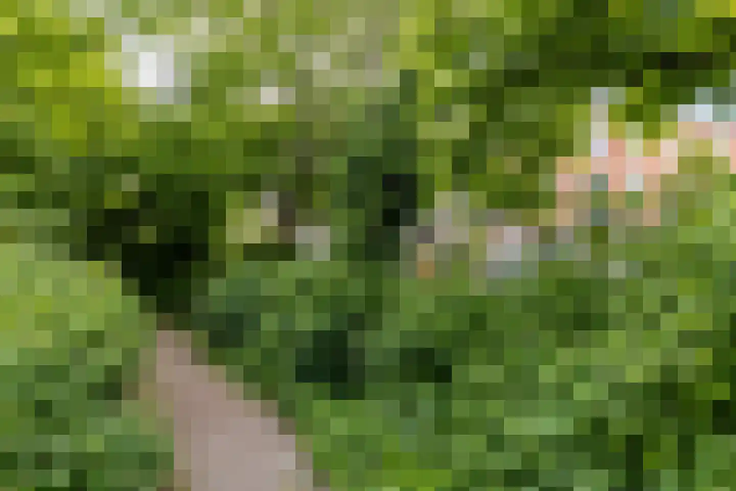 Bergselaan 141 A Rotterdam thumbnail 41