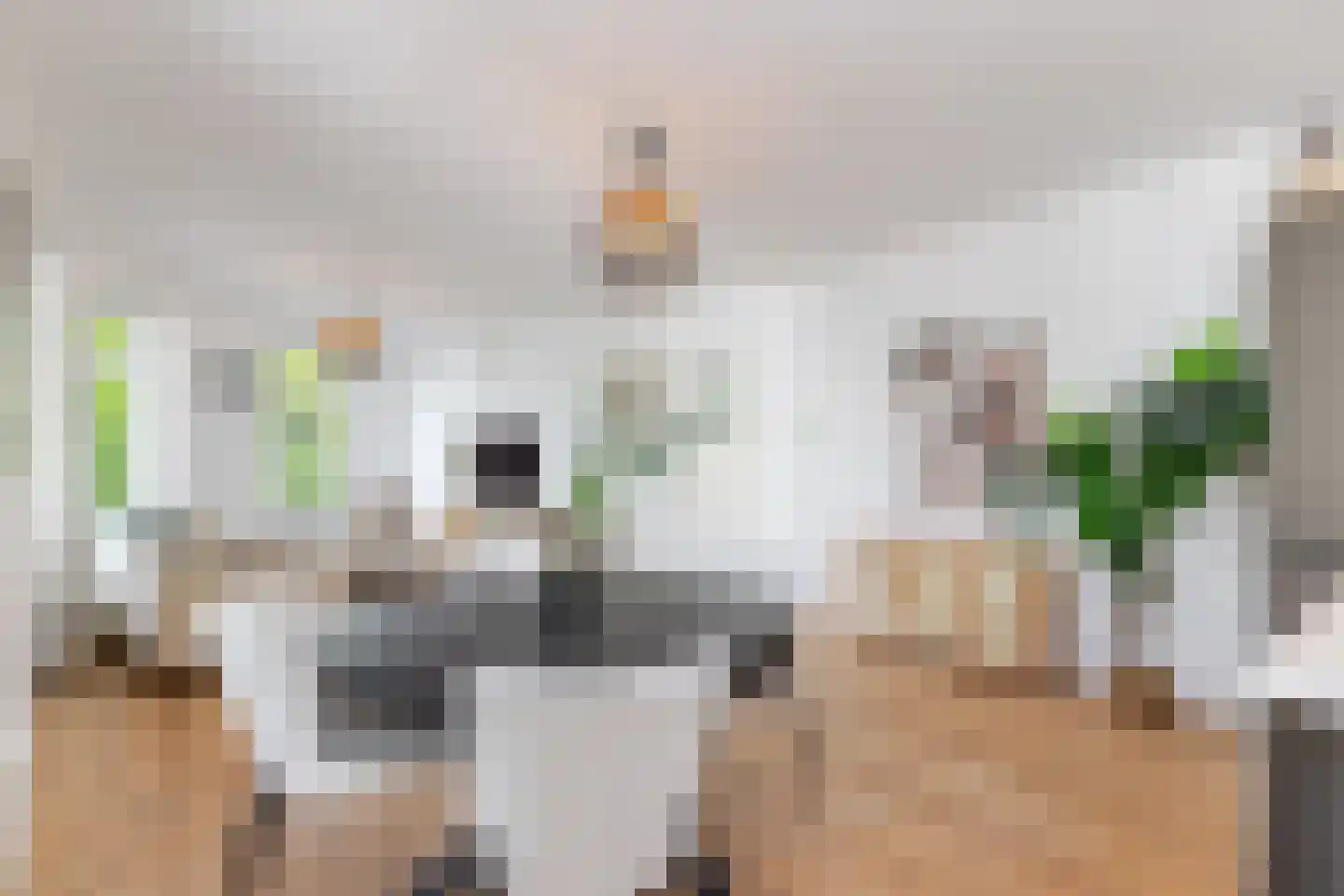 Bergselaan 141 B 02 Rotterdam thumbnail 18