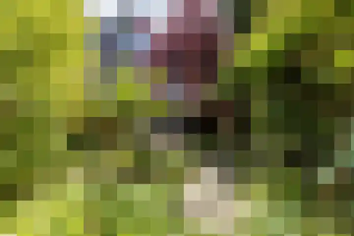 Bergselaan 148 Rotterdam thumbnail 10