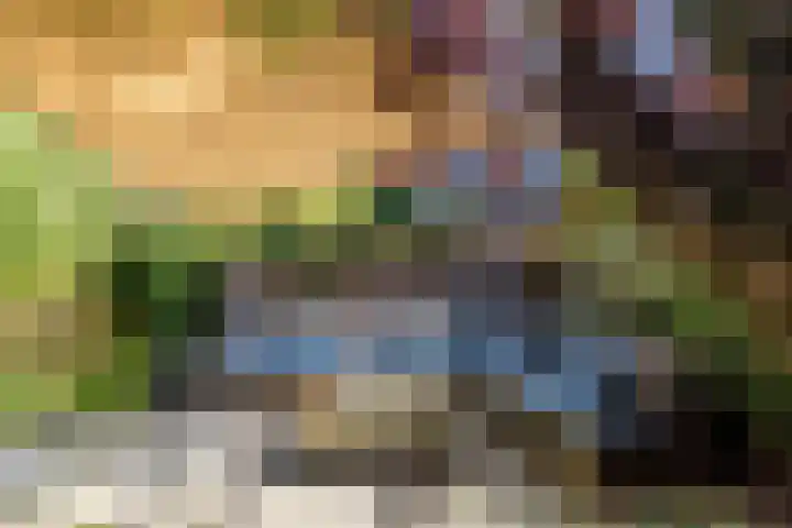 Bergselaan 148 Rotterdam thumbnail 12