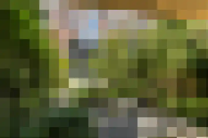 Bergselaan 148 Rotterdam thumbnail 13