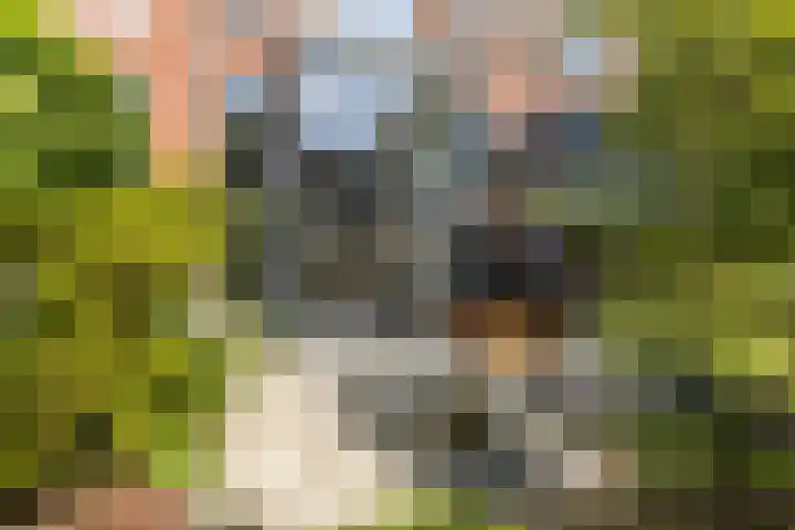 Bergselaan 148 Rotterdam thumbnail 15