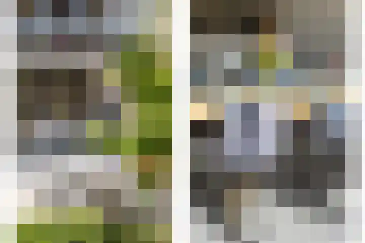Bergselaan 148 Rotterdam thumbnail 16