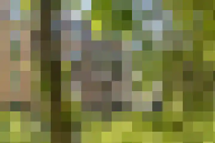 Bergselaan 148 Rotterdam thumbnail 4