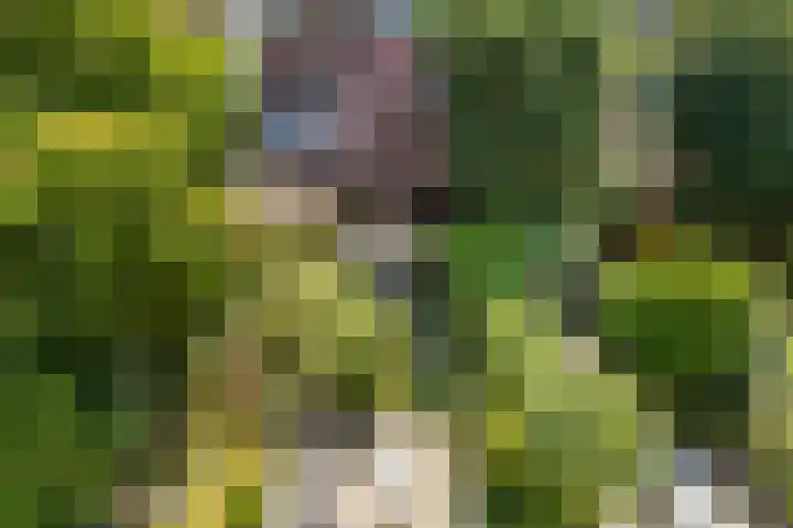 Bergselaan 148 Rotterdam thumbnail 58