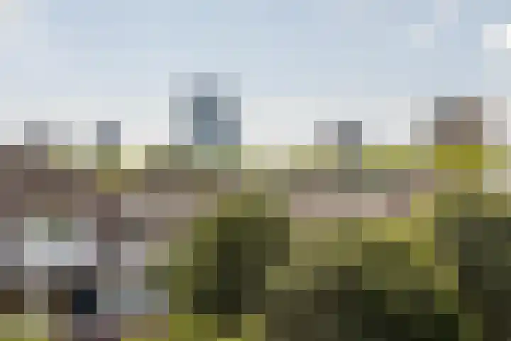 Bergselaan 148 Rotterdam thumbnail 59