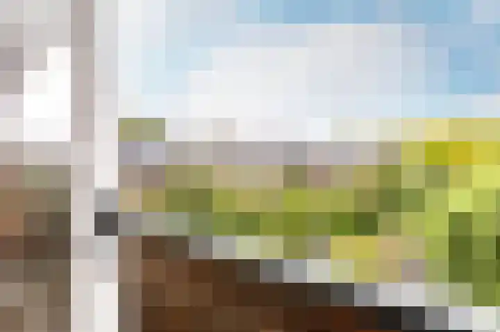 Bergselaan 15 C Rotterdam thumbnail 41