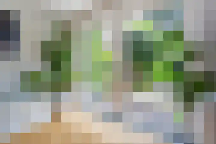 Bergselaan 150 Rotterdam thumbnail 10