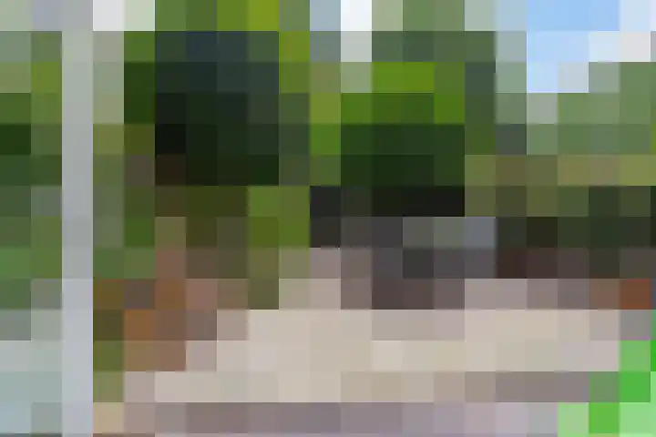 Bergselaan 150 Rotterdam thumbnail 11