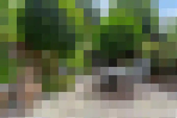 Bergselaan 150 Rotterdam thumbnail 12