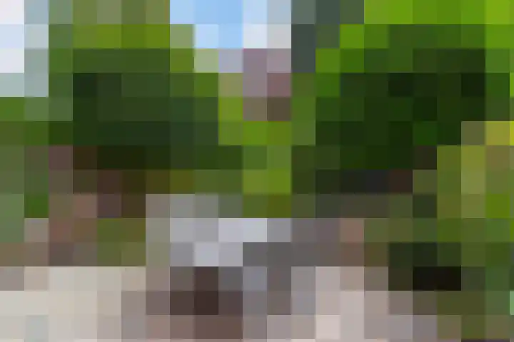 Bergselaan 150 Rotterdam thumbnail 13