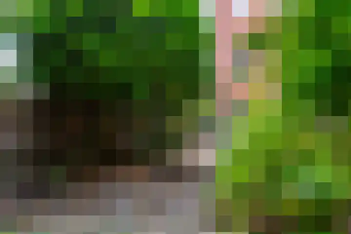 Bergselaan 150 Rotterdam thumbnail 14