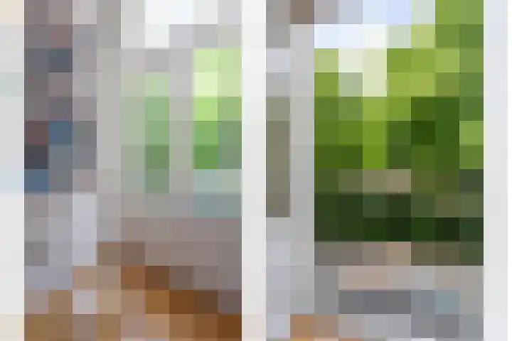 Bergselaan 150 Rotterdam thumbnail 56