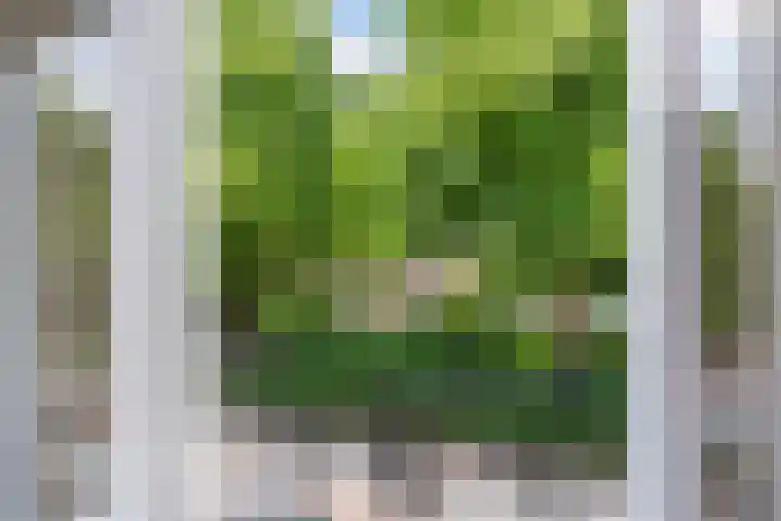 Bergselaan 150 Rotterdam thumbnail 57