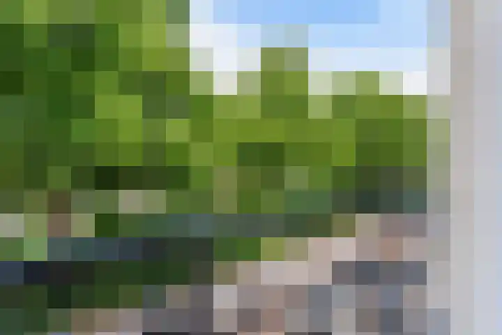 Bergselaan 150 Rotterdam thumbnail 58