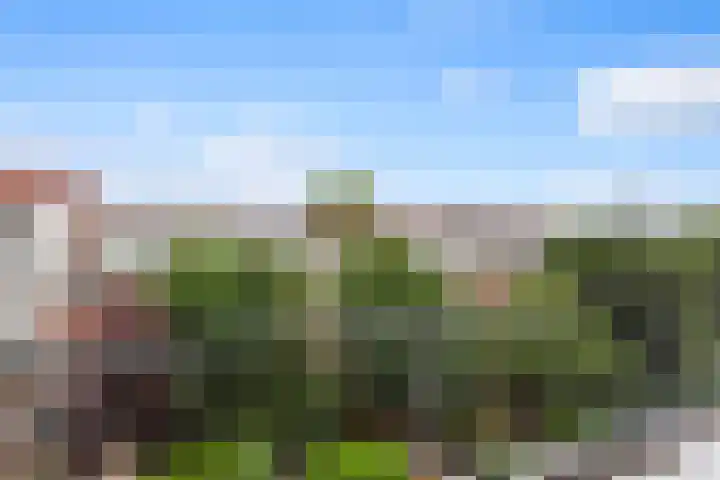 Bergselaan 150 Rotterdam thumbnail 80
