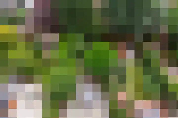 Bergselaan 150 Rotterdam thumbnail 81