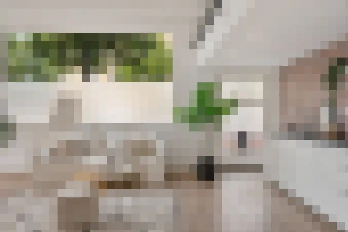 Bergselaan 153 D Rotterdam thumbnail 16