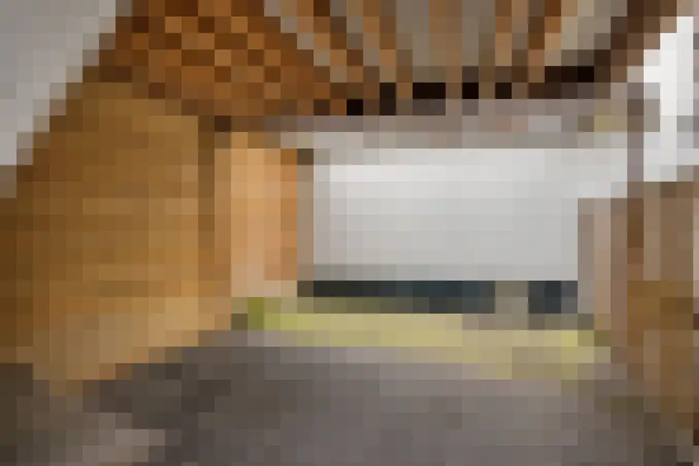 Bergselaan 153 D Rotterdam thumbnail 40