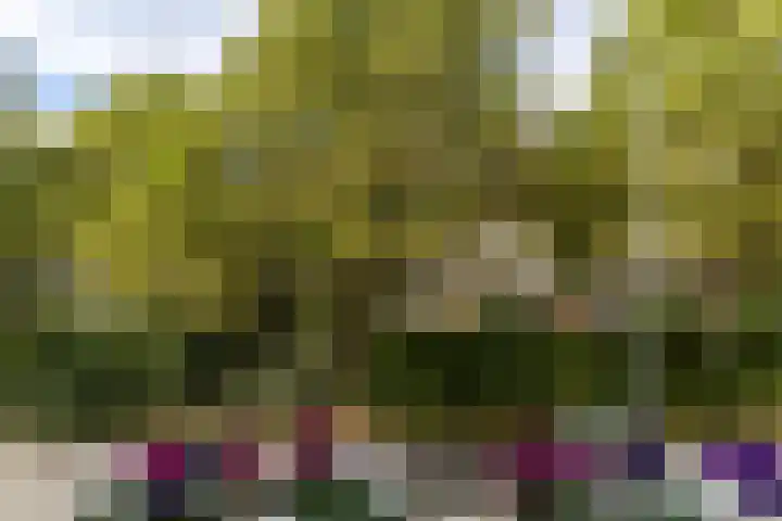 Bergselaan 154 A Rotterdam thumbnail 23
