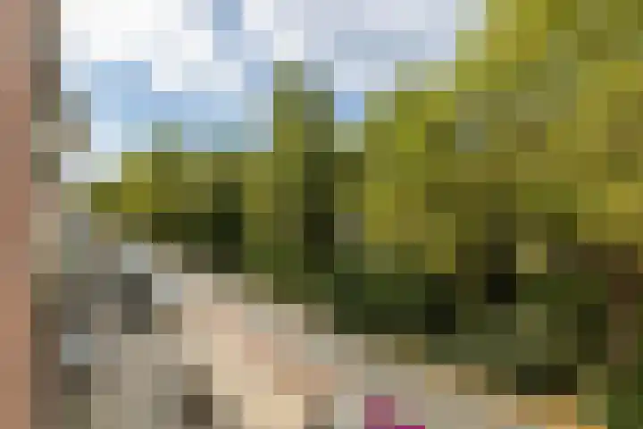 Bergselaan 154 A Rotterdam thumbnail 24
