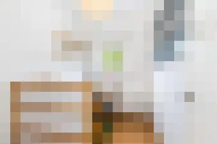 Bergselaan 154 A Rotterdam thumbnail 28