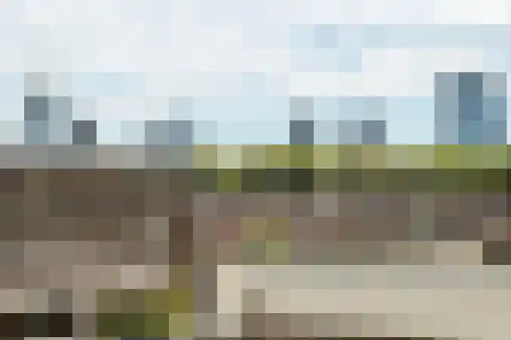 Bergselaan 154 A Rotterdam thumbnail 49