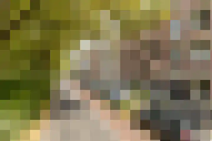 Bergselaan 154 A Rotterdam thumbnail 55