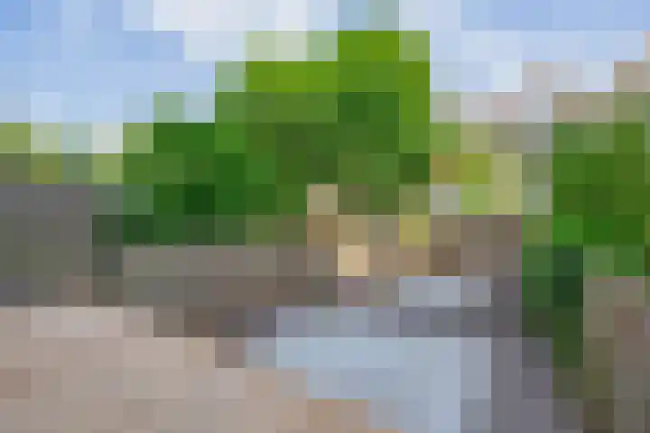 Bergselaan 166 A Rotterdam thumbnail 20
