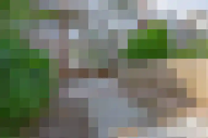 Bergselaan 166 A Rotterdam thumbnail 22