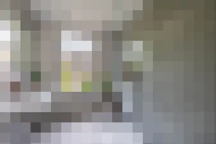 Bergselaan 166 A Rotterdam thumbnail 4