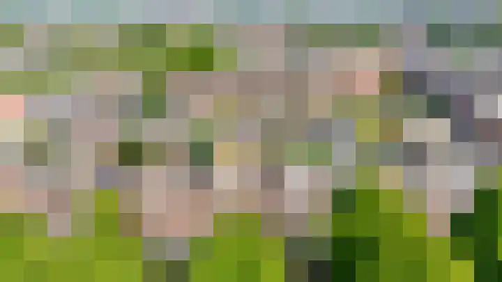 Bergselaan 166 A Rotterdam thumbnail 6