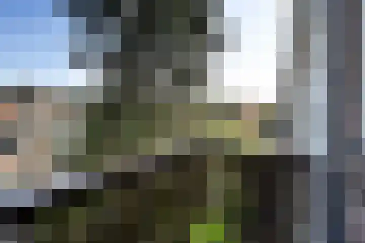 Bergselaan 168 B Rotterdam thumbnail 24