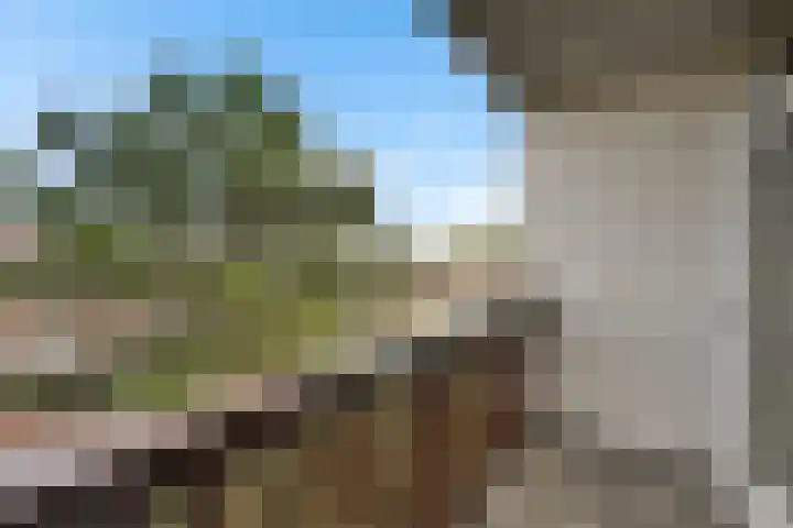 Bergselaan 168 B Rotterdam thumbnail 34