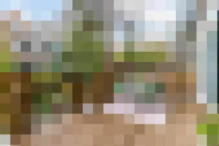 Bergselaan 168 B Rotterdam thumbnail 4