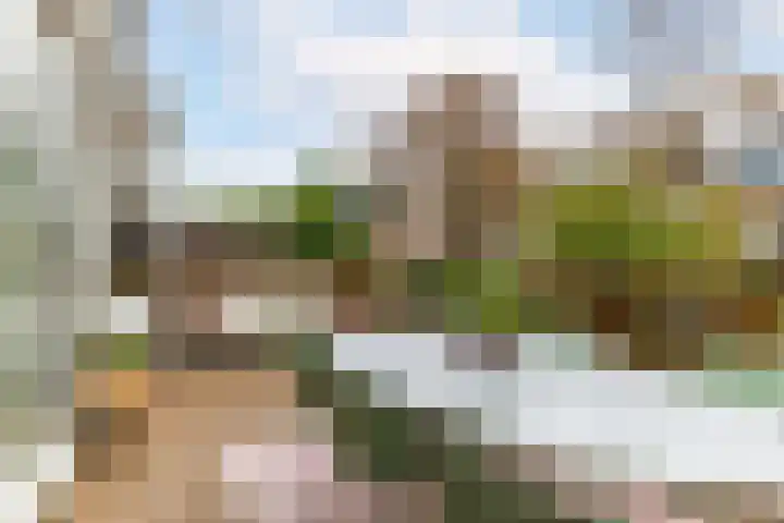 Bergselaan 168 B Rotterdam thumbnail 44