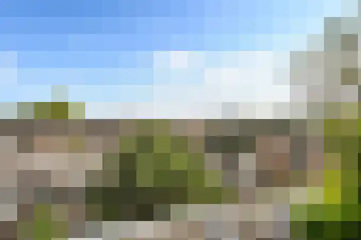 Bergselaan 168 B Rotterdam thumbnail 45