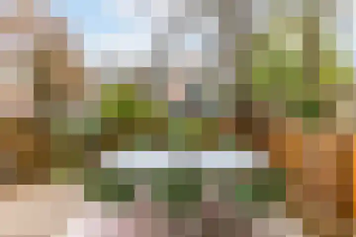 Bergselaan 168 B Rotterdam thumbnail 45