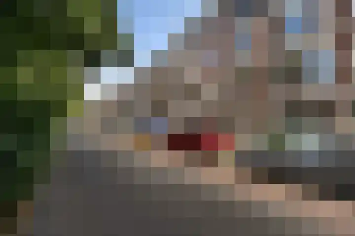 Bergselaan 168 B Rotterdam thumbnail 47