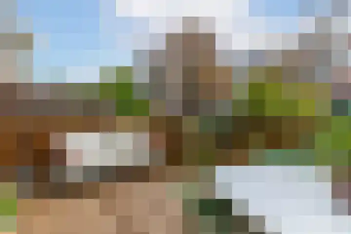 Bergselaan 168 B Rotterdam thumbnail 5
