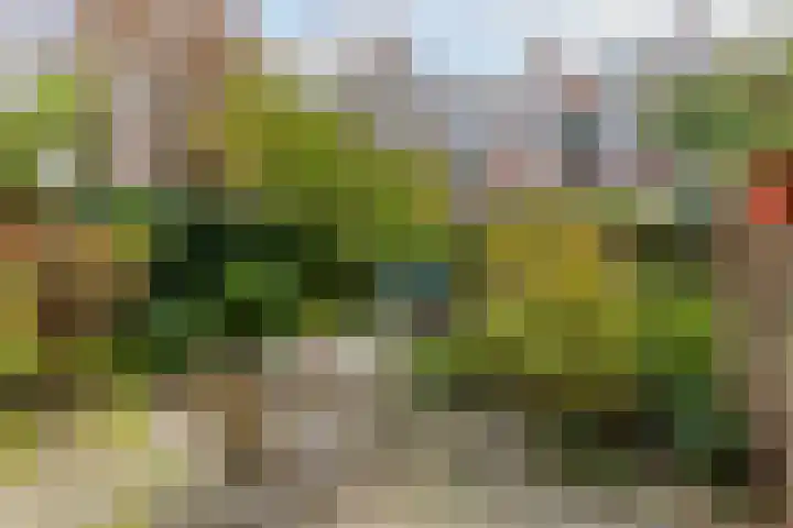 Bergselaan 168 B Rotterdam thumbnail 7