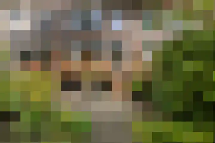 Bergselaan 168 B Rotterdam thumbnail 9