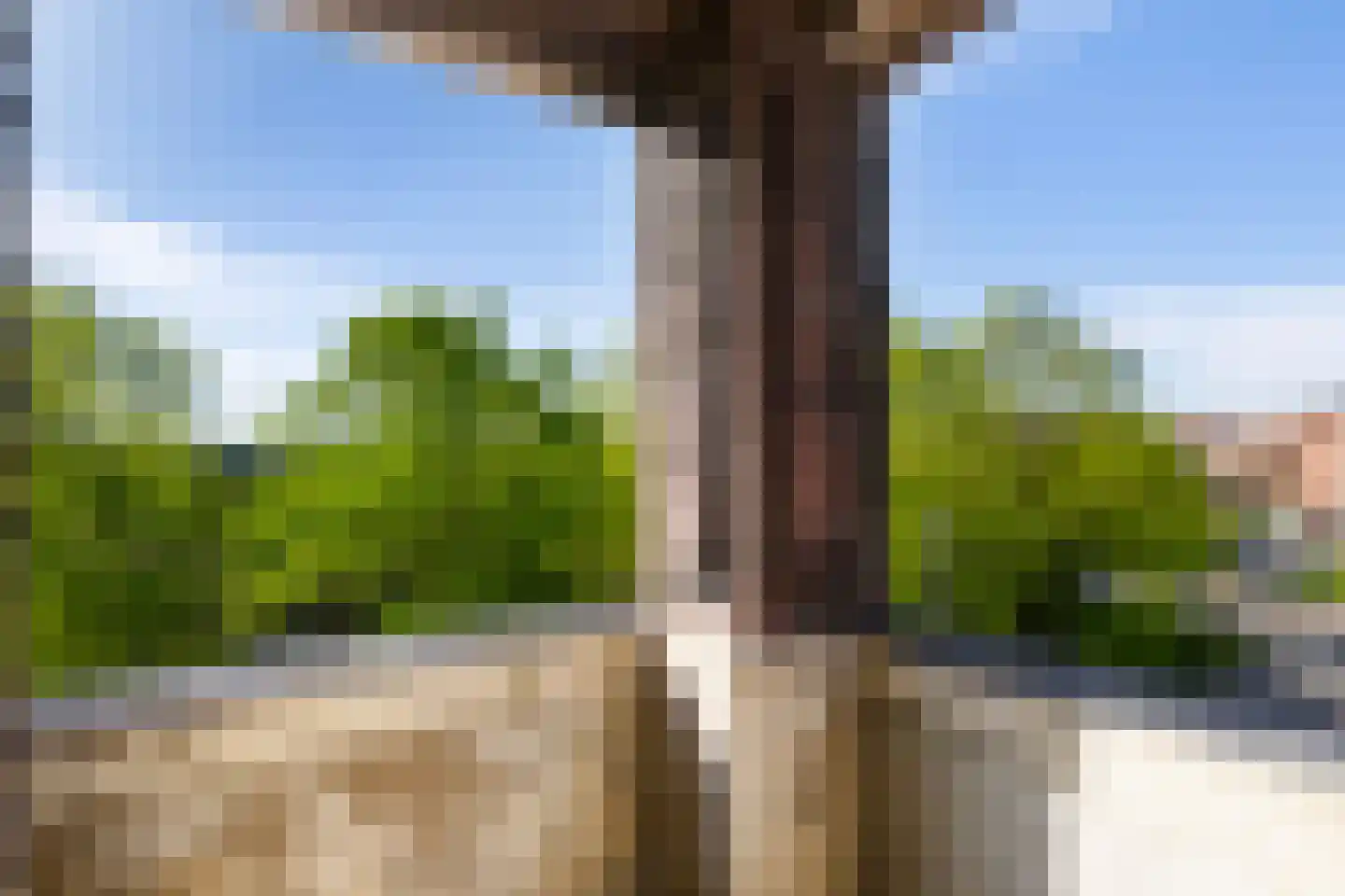 Bergselaan 169 B Rotterdam thumbnail 30