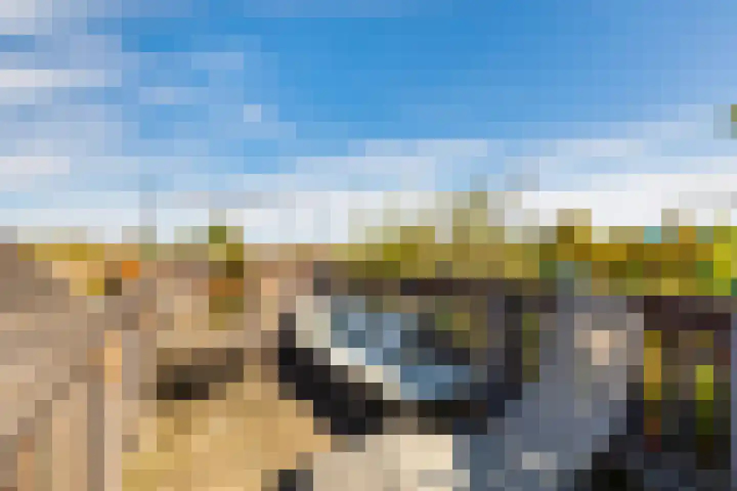 Bergselaan 169 B Rotterdam thumbnail 43