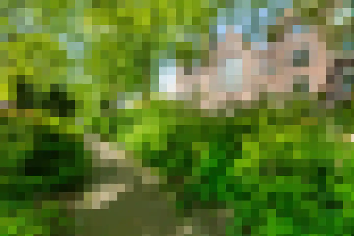 Bergselaan 169 B Rotterdam thumbnail 48
