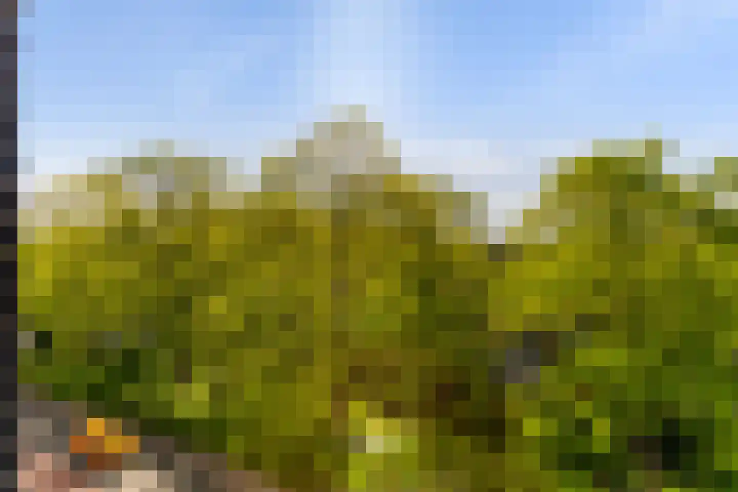 Bergselaan 169 C Rotterdam thumbnail 31