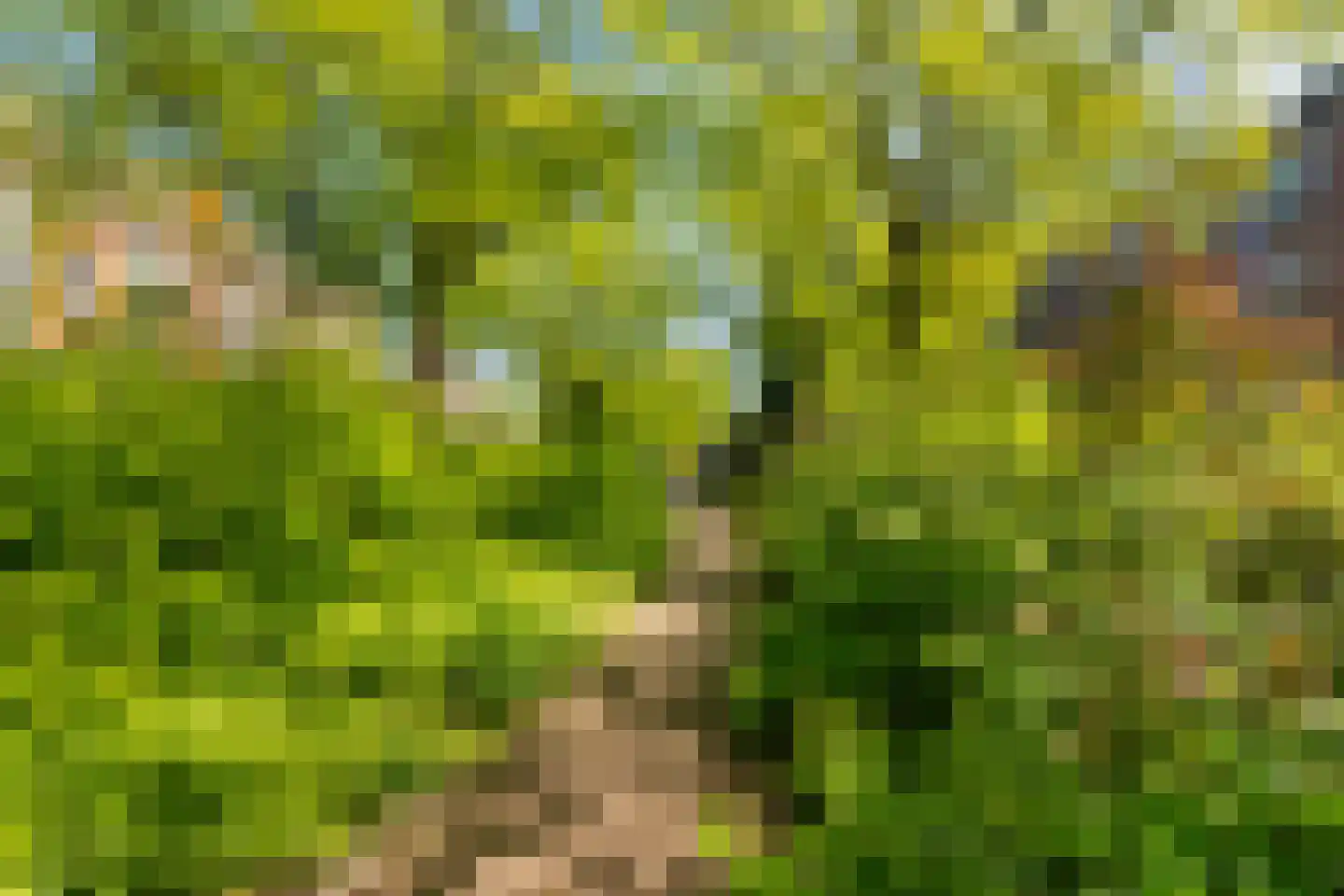 Bergselaan 169 C Rotterdam thumbnail 32