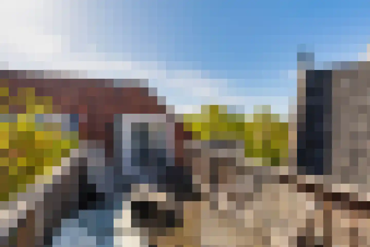 Bergselaan 169 C Rotterdam thumbnail 42