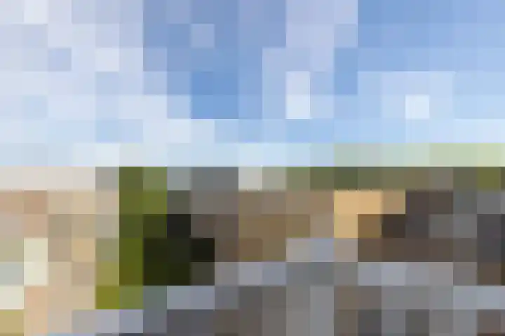 Bergselaan 192 B Rotterdam thumbnail 34